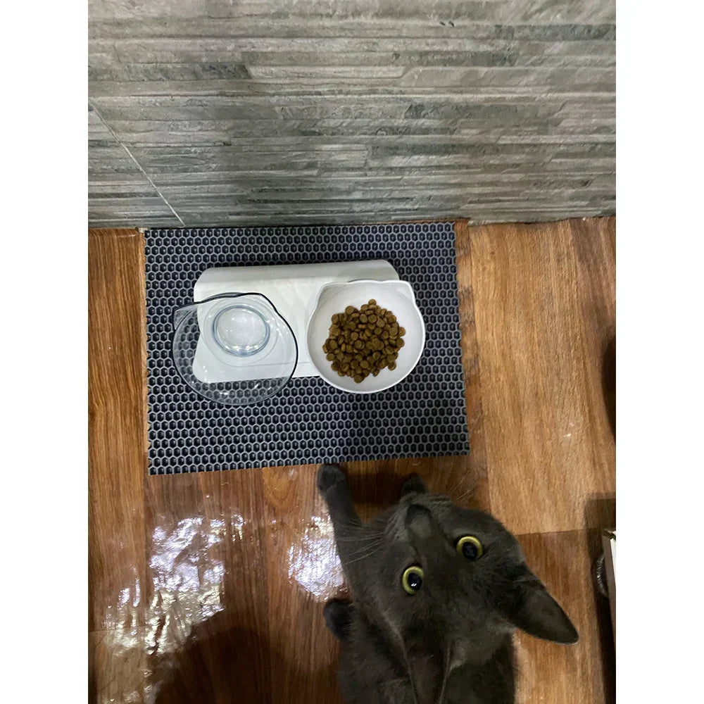 Ergonomic Double Pet Bowl Set – Non-Slip, Raised Stand for Dogs & Cats